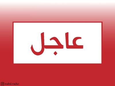 استشهاد 